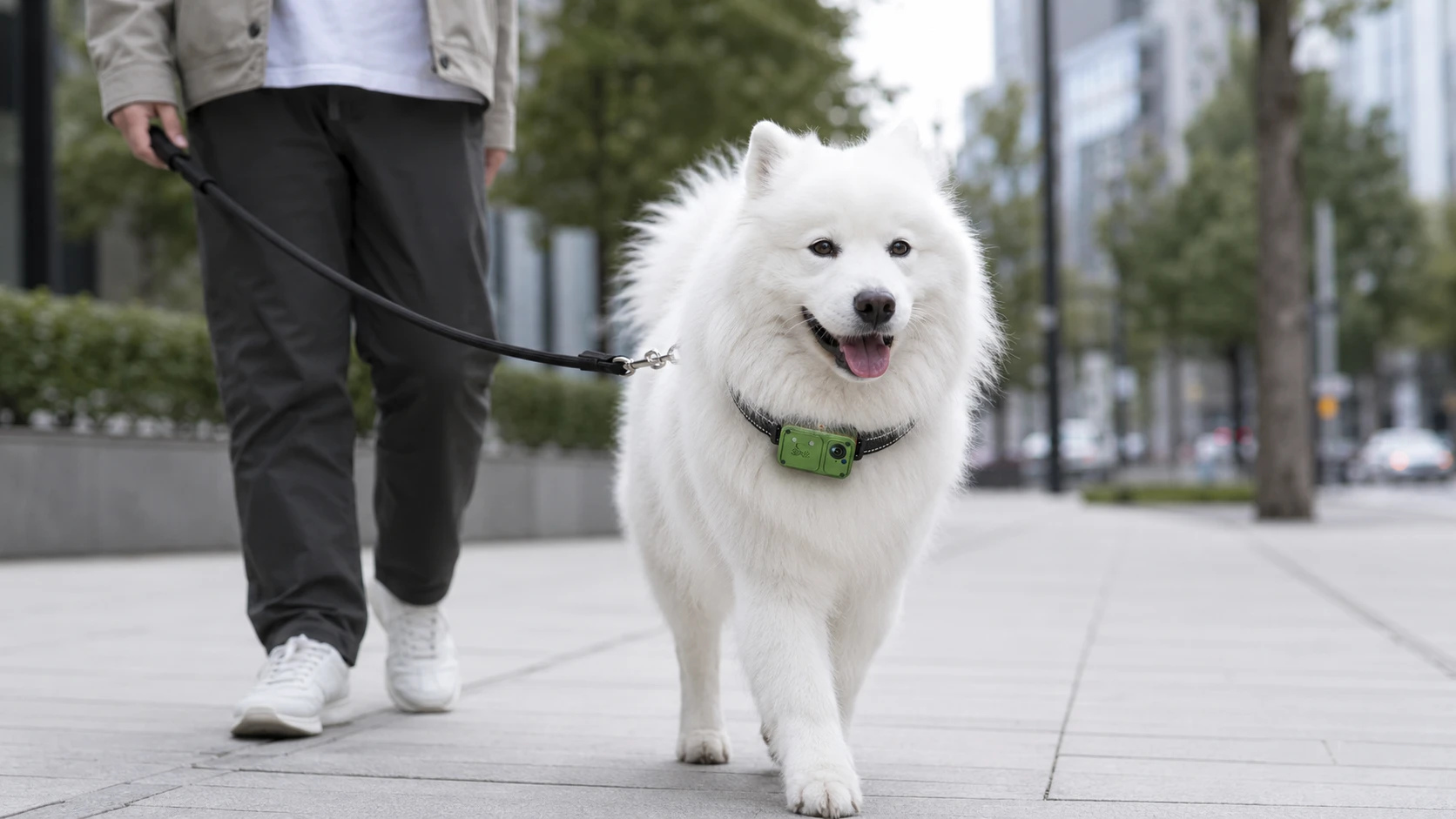GuardHound 宠物监控电子围栏防抖智能项圈 · 反光条纹夜 · GuardHound DOG