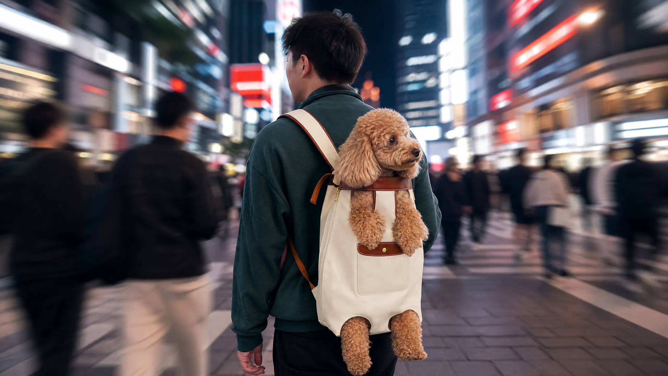 GuardHound 透气舒适狗狗外出背包 · 反光条设计 · GuardHound DOG
